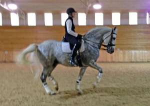 Stephen Clarke's Build a Better Dressage Horse Symposia - 2013