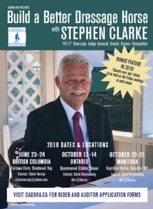 Stephen Clarke Returns in 2018