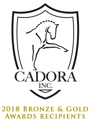 Cadora Inc. 2018 Bronze & Gold Award Recipients